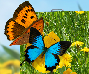 mile米乐集团小间距LED显示屏的魅力所在