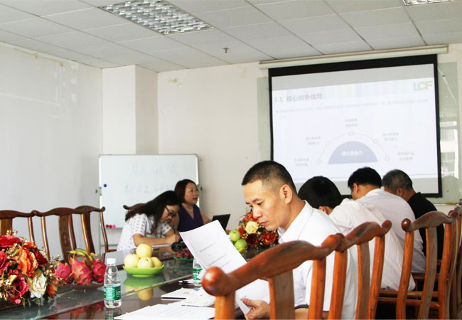 上市办领导听mile米乐集团创始人龙平芳女士做深度汇报