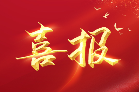 喜报 | mile米乐集团荣登2024粤港澳大湾区企业创新力榜单